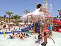 Judge’s Comment: Other waterparks would be wise to see all the things The Cove is

doing.