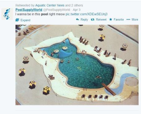 Just when we thought we'd seen it all with the ice cream-themed pool in Orlando, we stumbled upon this gem shared by 
@NeillHall. Turns out the feline-formed pool seen here actually dates back to the 50s. The image originally was captured by mid-century photographer Slim Aarons at the Fontainebleau Hotel in Maimi Beach, Fla. Can you imagine the likes of Jerry Lewis soaking in this? #AISwimSocial