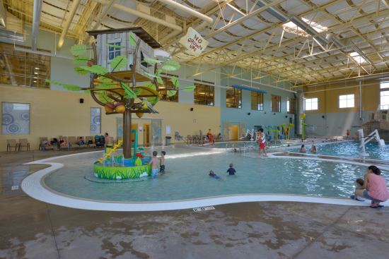 At the base of the treehouse sits an interactive water table, which encourages learning and group play. The treehouse top functions as a dumping device.