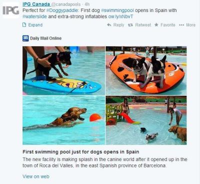 Thanks to the Twitter sharing skills of 
@canadapools, we can't stop thinking about how much it would cost to travel with our dog to Spain to treat him to this awesome place. #AISwimSocial