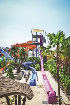 Among the nine slides is Freefall, which carries visitors up 193 feet, then drops them straight down at up to 31 miles per hour. An RFID and data management system allows visitors to pay for services and photos captured at the various attractions without cash.